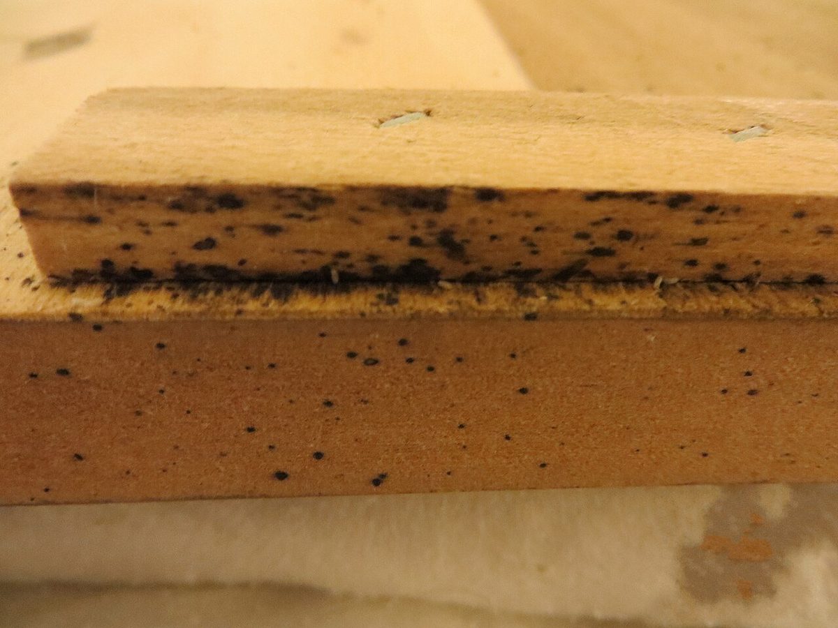 Bed bug fecal stains and harborage marks on wooden bed frame — one of the most reliable signs of an established bed bug infestation